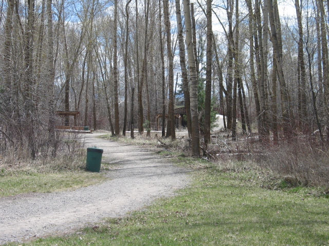 picture showing View of the accessible portion of the nature trail.